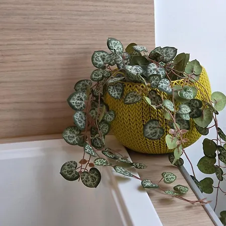 La Fleur Boheme - Hypercentre *