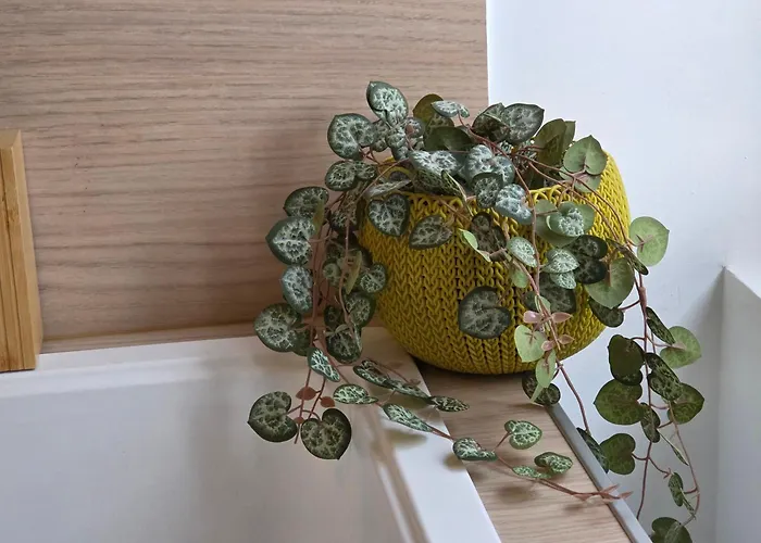 La Fleur Boheme - Hypercentre *